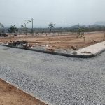 WhatsApp Image 2024-02-26 at 16.44.14