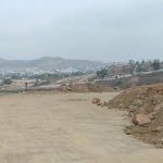 WhatsApp Image 2024-03-18 at 11.39.34