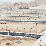 WhatsApp Image 2024-03-18 at 11.40.30 (2)