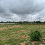 WhatsApp Image 2024-06-10 at 11.09.32